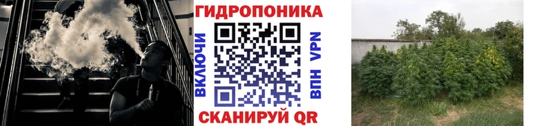 Наркотические вещества Бузулук Codein  kraken вход  Конопля  Альфа ПВП  ГАШИШ 