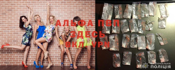 spice Баксан