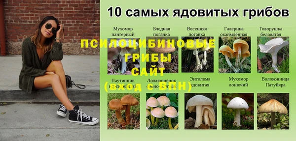 ECSTASY Балахна