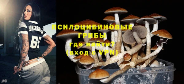 ECSTASY Балахна