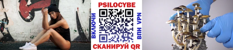 Галлюциногенные грибы GOLDEN TEACHER Бузулук
